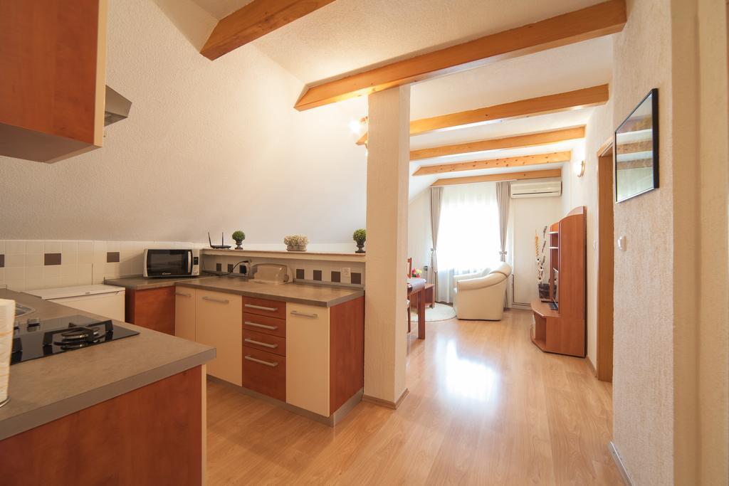 Apartmant & Room Bruna Dreznik Grad Bagian luar foto